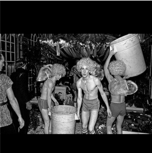 Studio 54 Participant - Picture 7 of 15